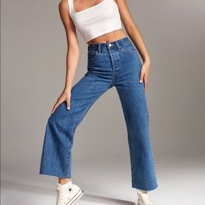 Aritzia Denim Forum Farrah High Rise Wide Leg